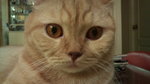 DSC00055