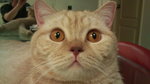 DSC00056