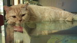 DSC00058