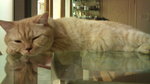 DSC00060