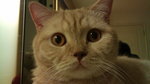DSC00061