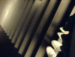 DSC00010