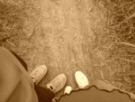 DSC00169