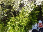 DSC01292