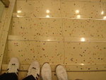 DSC02254