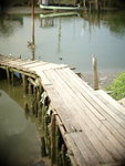 P9050074