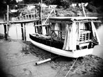 P9050076