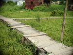P9050077