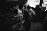 050813_lca_0007b