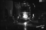 050813_lca_0012b
