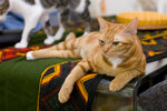 050820_20d_0033