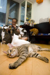 050820_20d_0044a