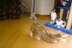 050820_20d_0054