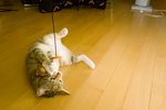 050820_20d_0056