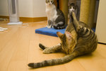050820_20d_0058