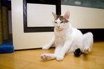 050820_20d_0060