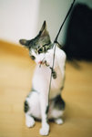050820_30v_0003