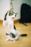 050820_30v_0005