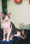 050820_30v_0012