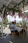 


lunch+dinner @ Restaurant Anemomilos