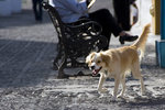 �O���������n�d�� 