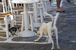 051014_20d_0068