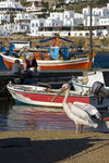 051014_20d_0099