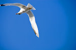 051014_20d_0108