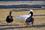 051014_20d_0111