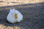 051014_20d_0119