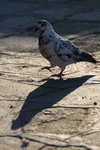 051014_20d_0135
