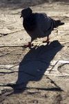 051014_20d_0136