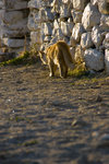 051014_20d_0189
