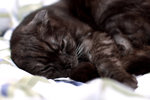 051210_20d_0034