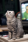 051210_20d_0035a