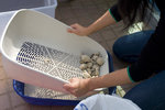 060205_20d_0017a