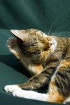 060205_20d_0025a
