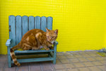060205_20d_0030a