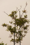 060211_20d_0021a