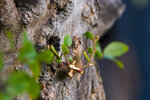 060211_20d_0036a