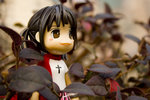 060211_20d_0045a