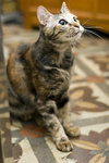 061028_20d_0003
