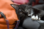 061028_20d_0005