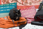 061028_20d_0007