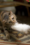 061028_20d_0017