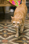 061028_20d_0019