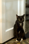 061028_20d_0021