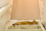 061028_20d_0024