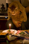 061028_20d_0039