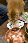 061028_20d_0044